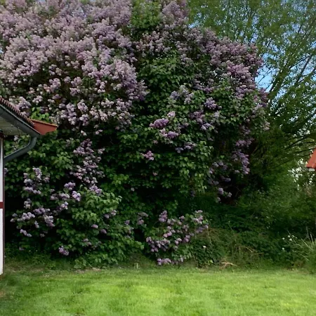 펜션 Ferienhaeuser - Baltic *