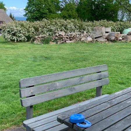 Ferienhaeuser - Baltic * Wohlenberg